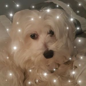 Meet your Posher, Marisol